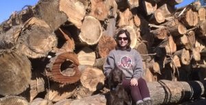 timber