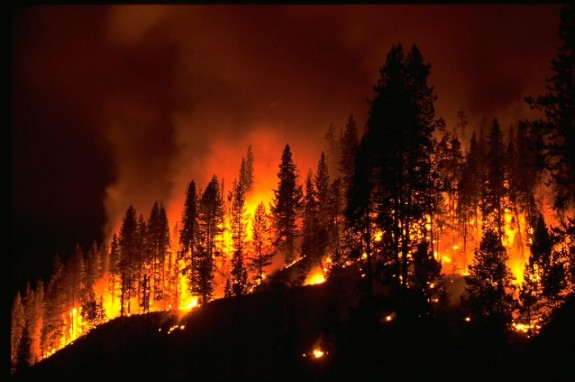 Image result for timber yard burning