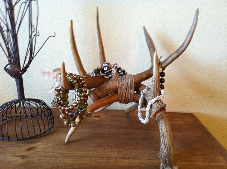 Land In Alabama Geia Creative Uses For Your Deer Antler Rack