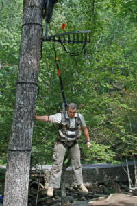 tree-safety-image